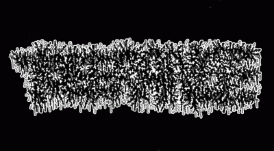 logo Tolerance (FIN)